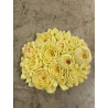 Ranunculus