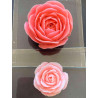 Set Adelle