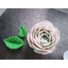 Set Adelle