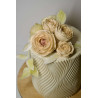 Set Adelle