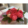 Set Adelle