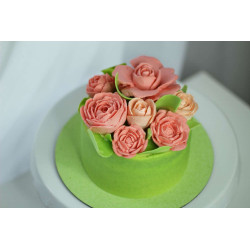 Set Adelle
