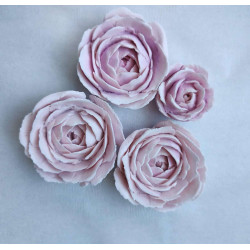 Set Adelle