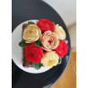 Set Adelle
