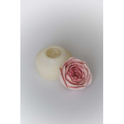 Set Adelle