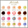 Set Adelle