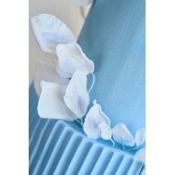 Cake Art Caring Love