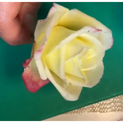 Video Course by Alena Ujshag – Sugar Flower Modeling (Rose)
