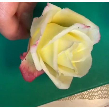 Video Course by Alena Ujshag – Sugar Flower Modeling (Rose)