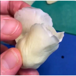 Video Course by Alena Ujshag – Sugar Flower Modeling (Rose)