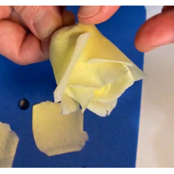 Video Course by Alena Ujshag – Sugar Flower Modeling (Rose)