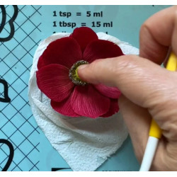 Video Course by Alena Ujshag – Chocolate Flower Modeling (Anemone)