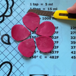 Video Course by Alena Ujshag – Chocolate Flower Modeling (Anemone)