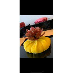 Francouzské skvosty