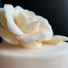 Tea Rose