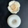 Tea Rose