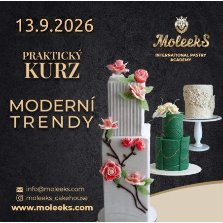 PRAKTICKÝ KURZ “MODERNÍ TRENDY”