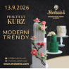 PRAKTICKÝ KURZ “MODERNÍ TRENDY”