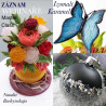 SET ON-LINE COURSES