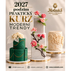 Course "Modern trend" just for Czech Republic!